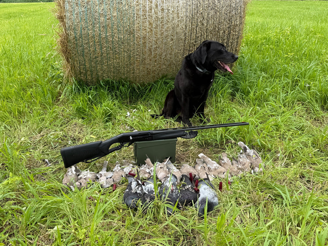 Staying Tuned Up | Keeping Fowling Skills Sharp in the Middle of Summer